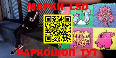 гидра Камышлов