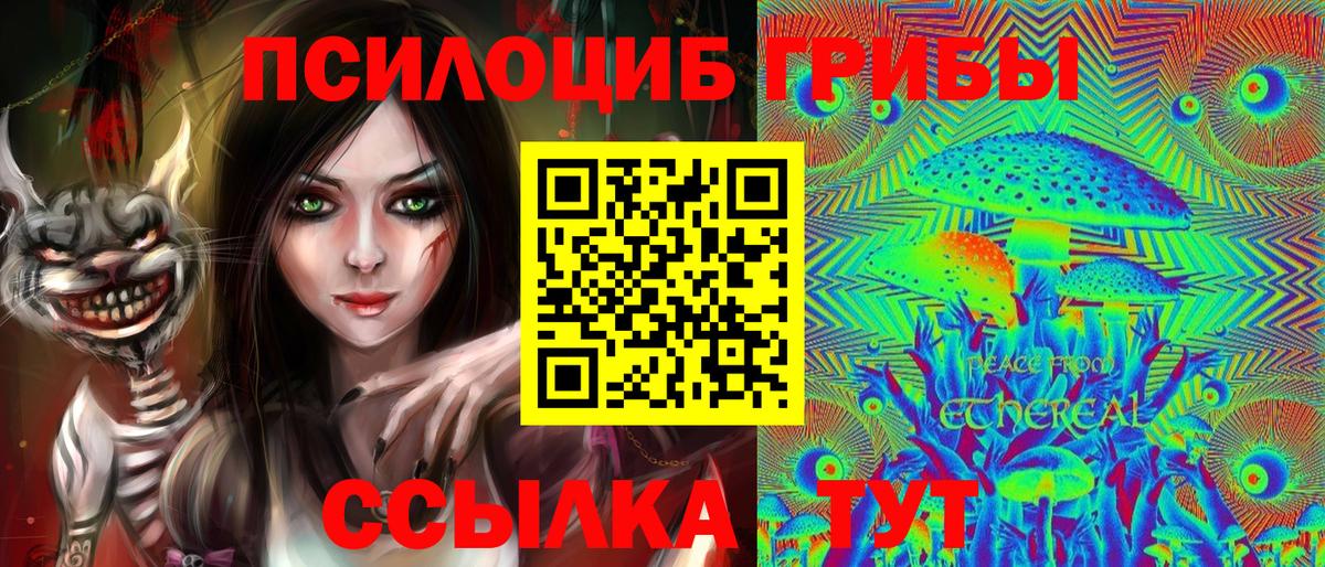 Галлюциногенные грибы Cubensis Краснодар